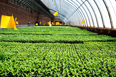 智慧农业正在发展,促进绿色农产品快速可持续健康发展